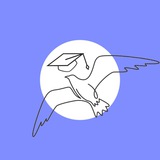 Німецька з Chaika Education Logo