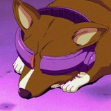 EinCorgi [Web3 Crypto DeFi] Logo