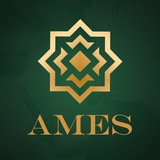 Це AMES: коментарі, оцінки, погляди Logo