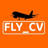 FLY_CV✈️ Logo