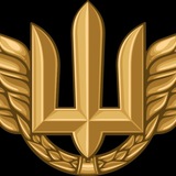 Полковник ГШ Logo