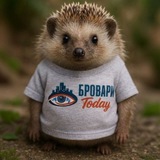 Бровари Today 🇺🇦 Logo