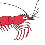 КСД Logo