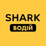 Shark - driver / шарк водій Logo