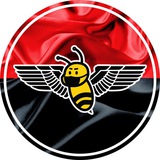 Шалена Бджілка Logo