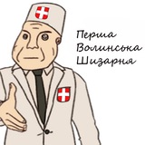 Волинська Шизарня Logo