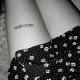 MERTERINmetroSHOP Logo