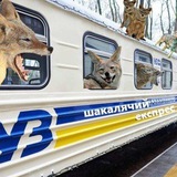 Шакалячий Експрес 🇺🇦 18✙ Logo