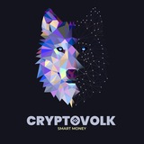 Crypto Volk|Smart Money🧠 💼 Logo