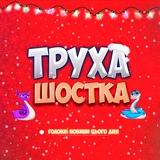 ППО⚡️Шостка Logo