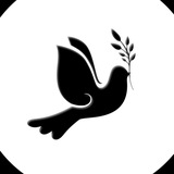 🕊️ Щоденник Волонтера Logo