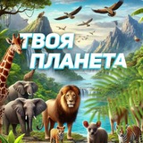 Твоя Планета 🌍 Logo