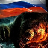 Медведь Logo