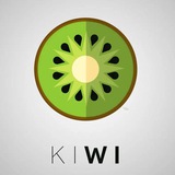 🥝 Дроп kiwi (очки, кошельки, сумки)🇺🇦 Logo