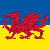 Українці в Уельсі 🇺🇦| Ukrainians in Wales 🏴 Logo