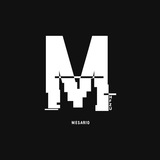 Mesario - Trading FX / Crypto Logo
