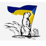 КУП'ЯНСЬК Gromada Group | Вузловий Ківшарівка Великий Бурлук Вільхуватка Дворічна Кіндрашівка Курилівка Петропавлівка Шевченкове Logo