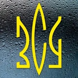ВІЙСЬКО УКРАЇНИ🇺🇦 Logo