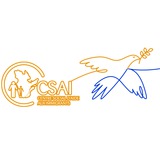 CSAI запрошує українців Logo