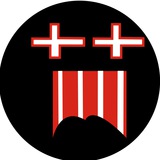 Дизрайтер Logo