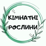 🪴 КІМНАТНІ РОСЛИНИ 🪴 Logo