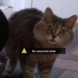 Прокрастинация и её творчество Logo