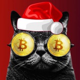 ᴄʀʏᴘᴛ⭕ ᴄᴀᴛ'ꜱ 🐱 Logo