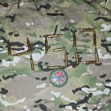 4.5.0 Logo