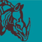Pro-Consulting Logo