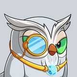Rayn Sight Logo