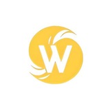 Work_DniproUA Logo