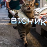 ВІСНИК| ДУРДОМ 📣 Logo