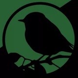 Екологічна Платформа Logo