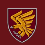 95 окрема десантно-штурмова Поліська бригада Logo