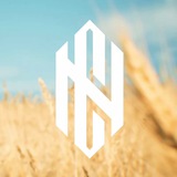 CYBERNATION.TEAM | THREEDAYZ Logo