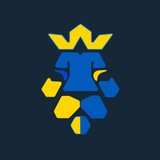 Ukrainian Football Logo