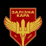 "Залізна Кара" 54 ОМБр Logo