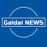 Гайдай NEWS Logo
