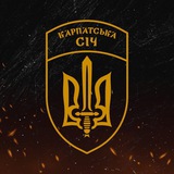 49 ОШБ Карпатська Січ Logo