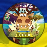 Новомосковськ (Самар) PDSHL Logo