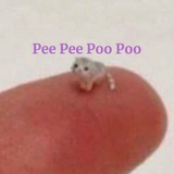 PeePeePooPoo Logo