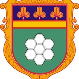 ‼️НЕТІШИН - ОПЕРАТИВНО‼️ ПОВІТРЯНА ТРИВОГА‼️ Logo