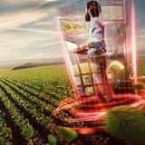 Agrobox Logo