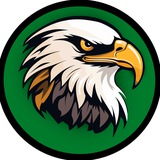 World Оf Сombat Аviation Logo