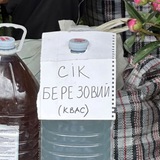 Березовий сік Logo