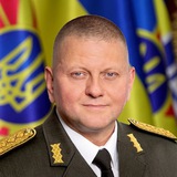 Валерий Залужный Logo