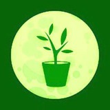 Комнатные цветы Logo