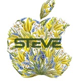 STEVE.UA📱 IPHONE📲IPAD MACBOOK DYSON📍APPLE ОДЕСА💰 Logo