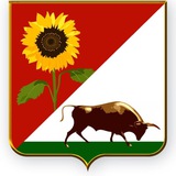 Великоновосілківська селищна військова адміністрація Logo