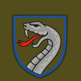 61 Степова ОМБр Logo